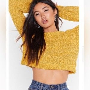 NWOT Nasty Gal Cropped Sweater Crop Top Drop Sleeves